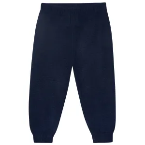 Infant & Toddler Boys Blue Sweater Knit Jogger