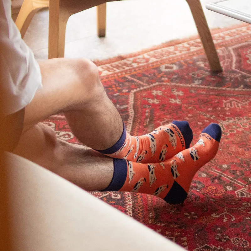 Talking Toes - Sleepy Cat Sock