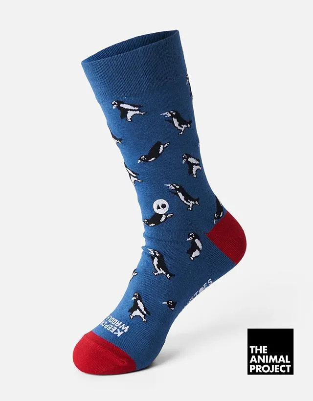 Talking Toes - The Animal Project Penguin Sock